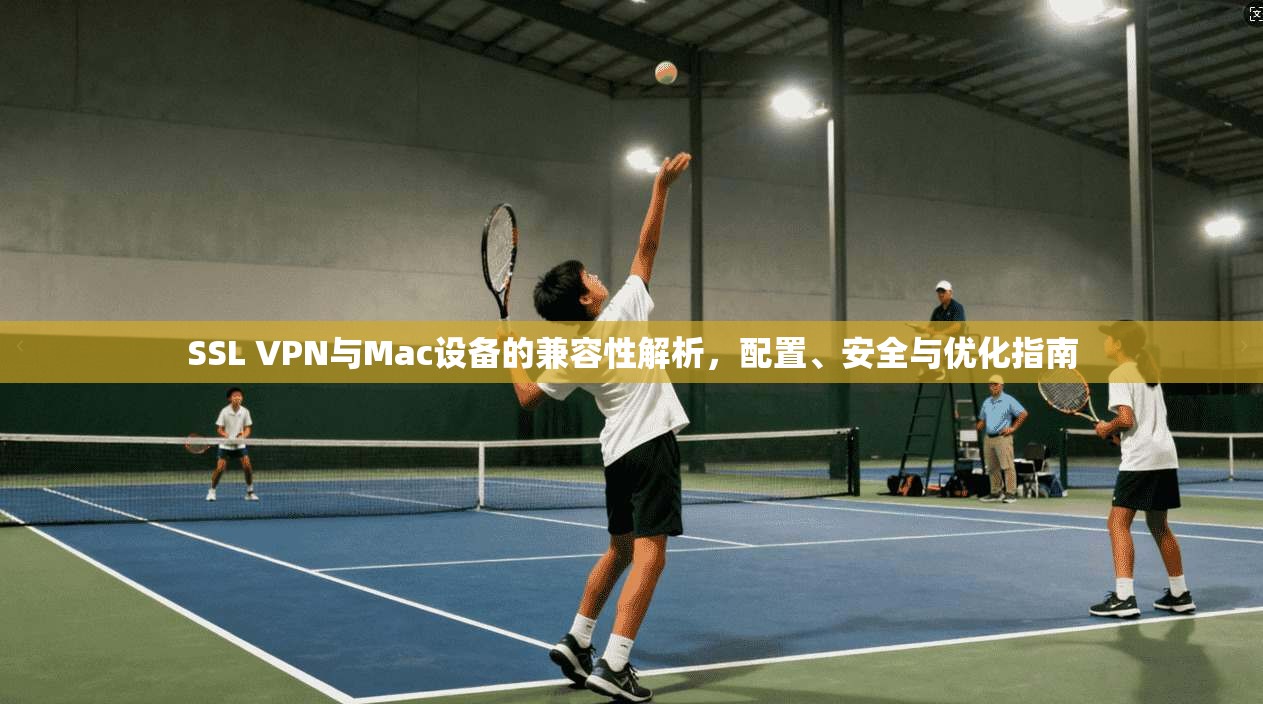 SSL VPN与Mac设备的兼容性解析，配置、安全与优化指南