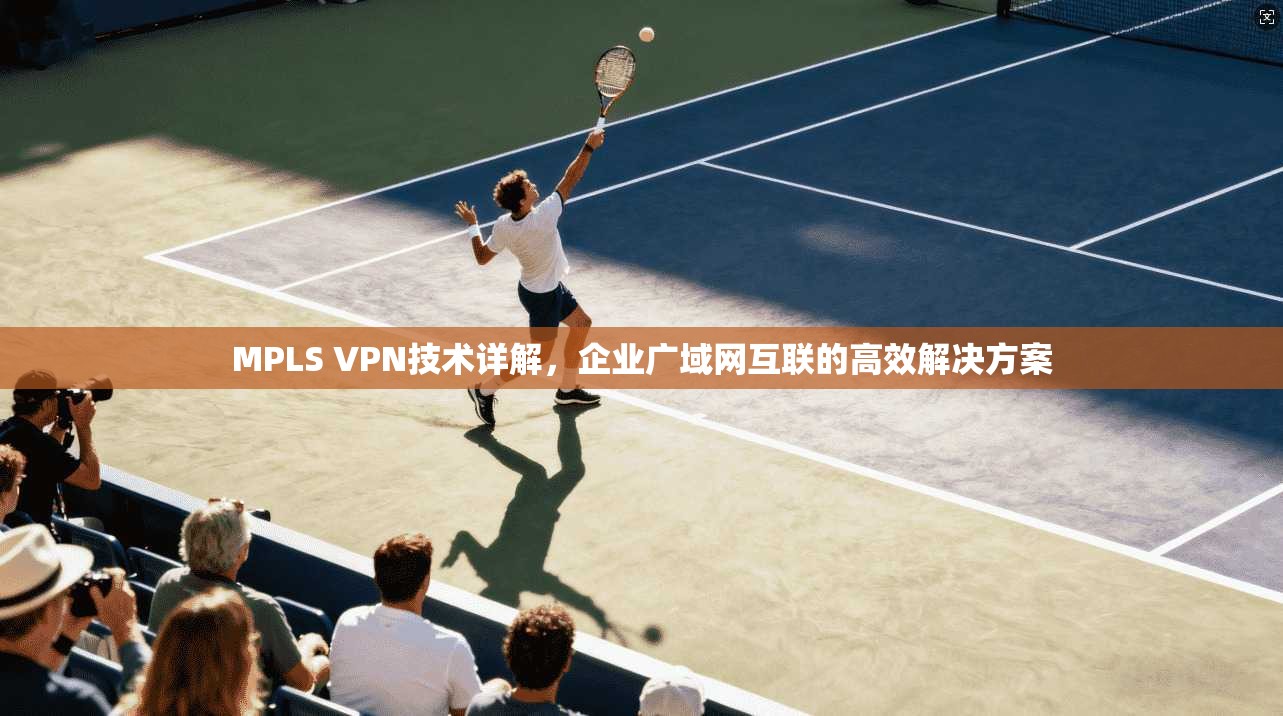 MPLS VPN技术详解，企业广域网互联的高效解决方案