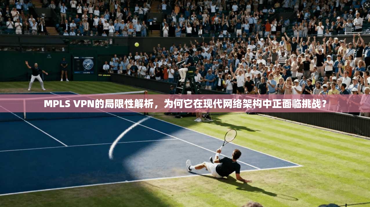 MPLS VPN的局限性解析,为何它在现代网络架构中正面临挑战?