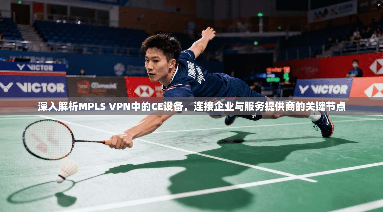 深入解析MPLS VPN中的CE设备，连接企业与服务提供商的关键节点