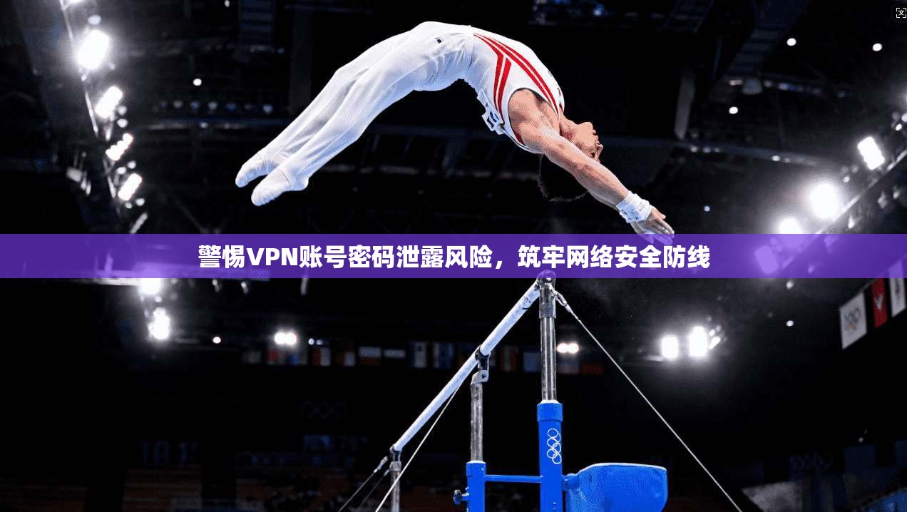 警惕VPN账号密码泄露风险,筑牢网络安全防线