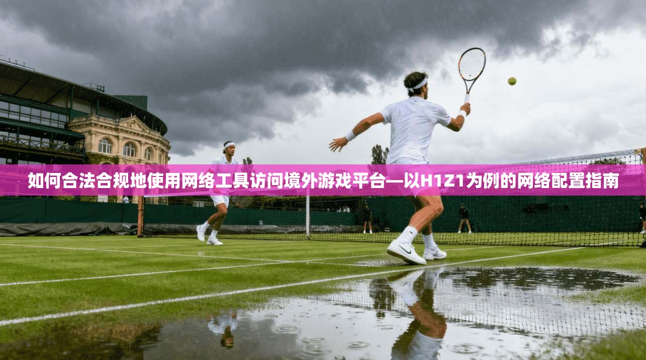 如何合法合规地使用网络工具访问境外游戏平台—以H1Z1为例的网络配置指南