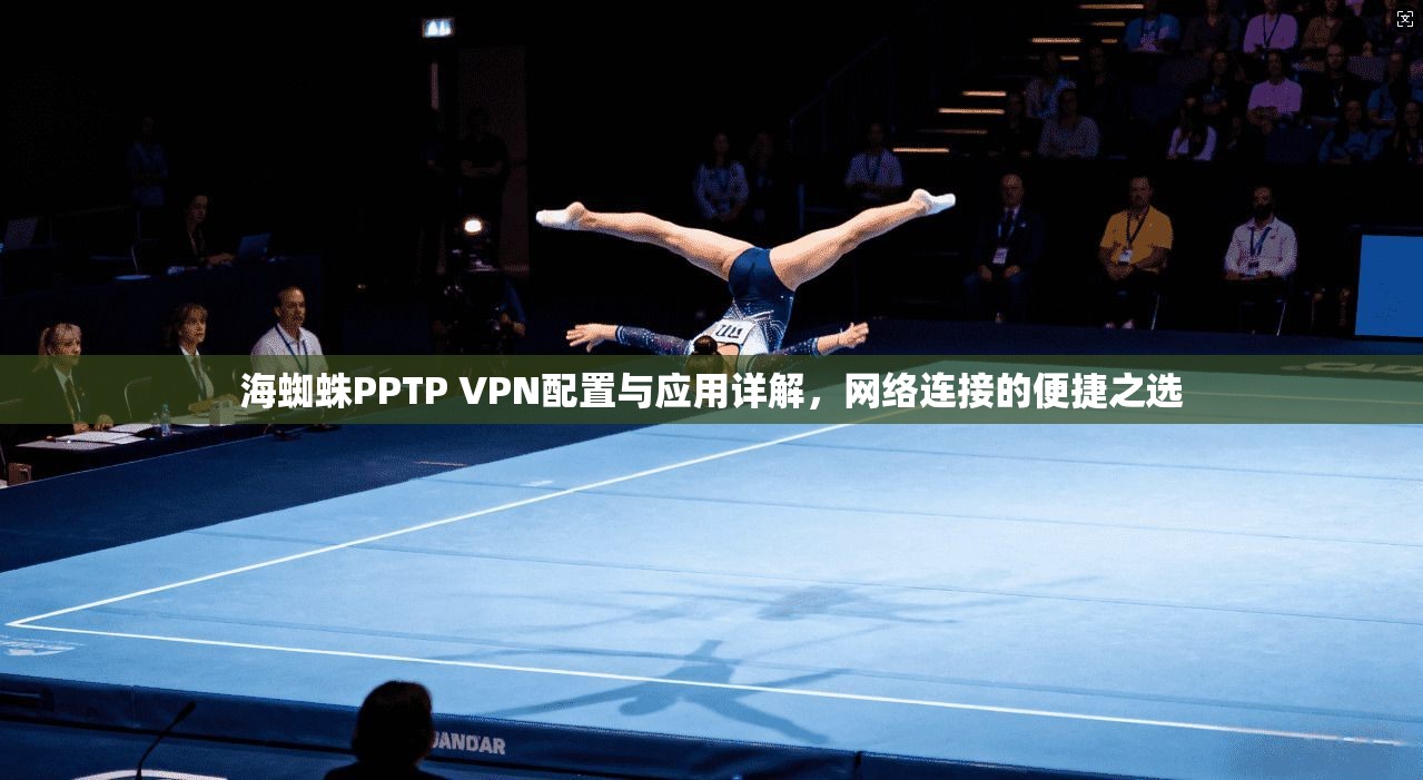 海蜘蛛PPTP VPN配置与应用详解，网络连接的便捷之选