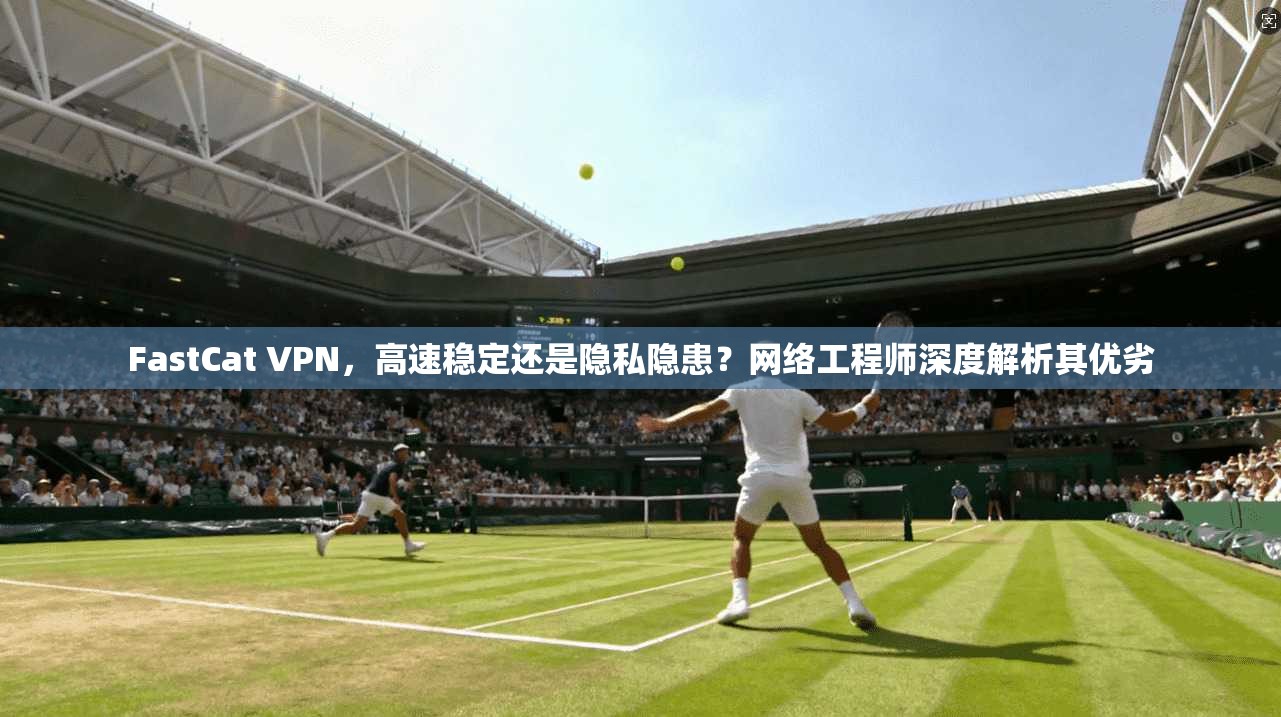 FastCat VPN，高速稳定还是隐私隐患？网络工程师深度解析其优劣
