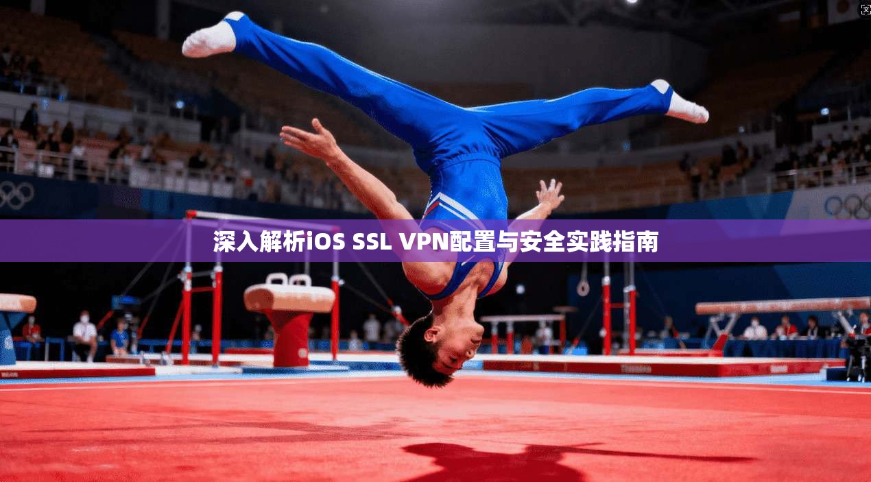 深入解析iOS SSL VPN配置与安全实践指南