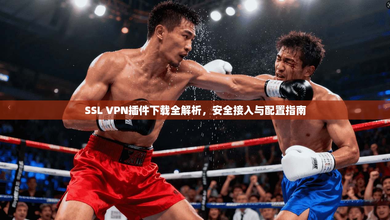 SSL VPN插件下载全解析,安全接入与配置指南