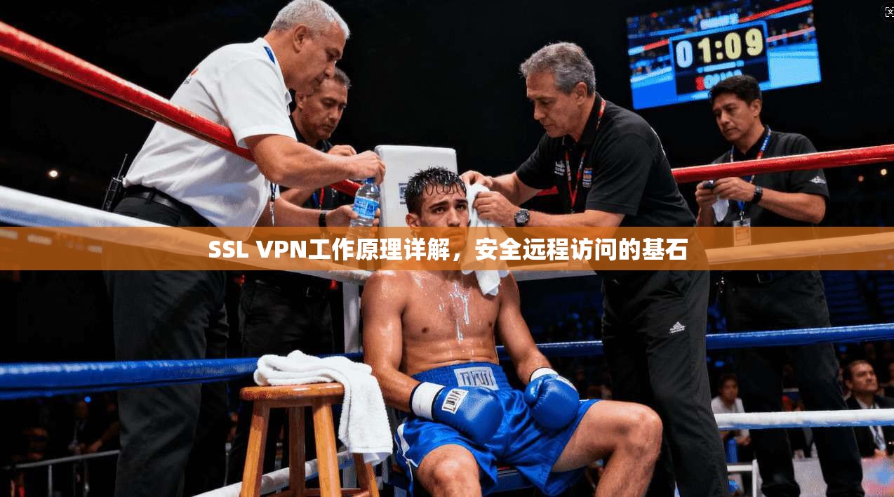 SSL VPN工作原理详解,安全远程访问的基石