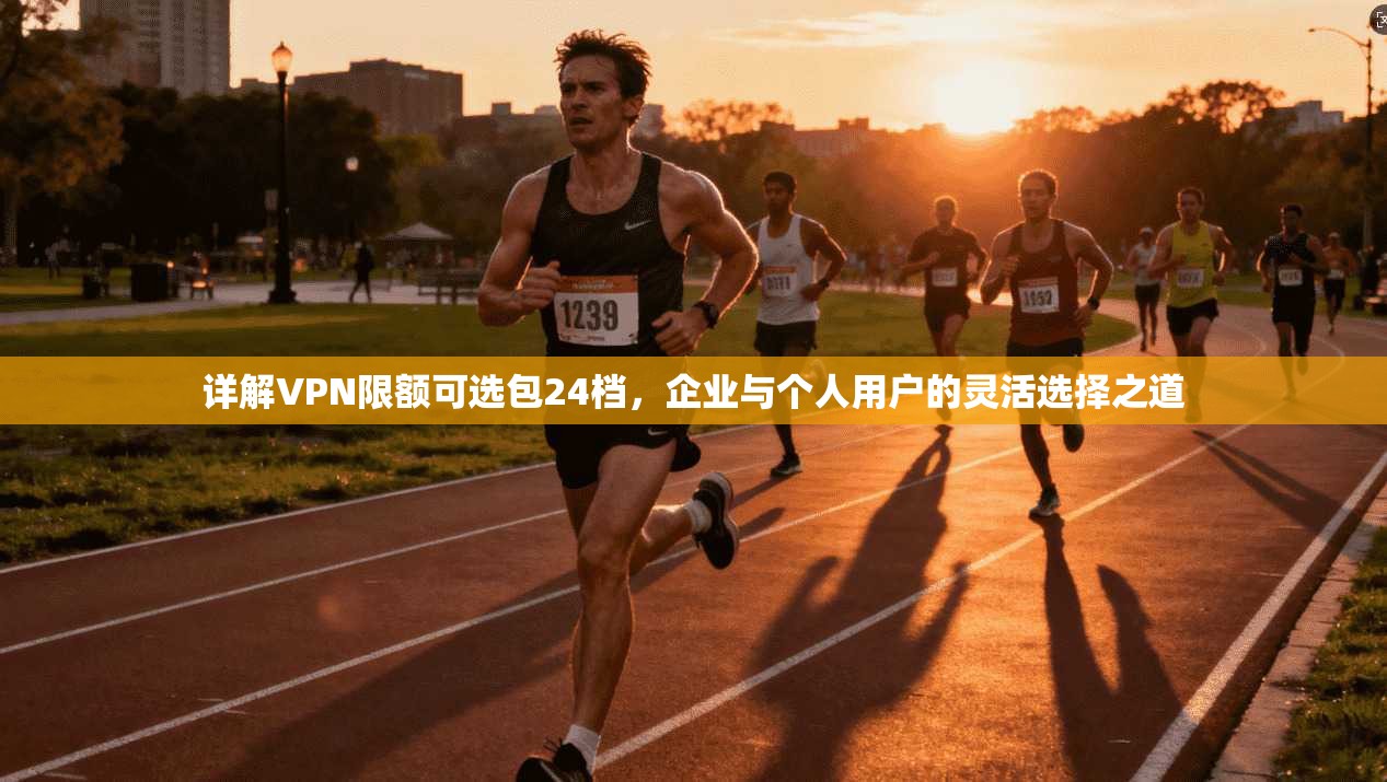 详解VPN限额可选包24档，企业与个人用户的灵活选择之道