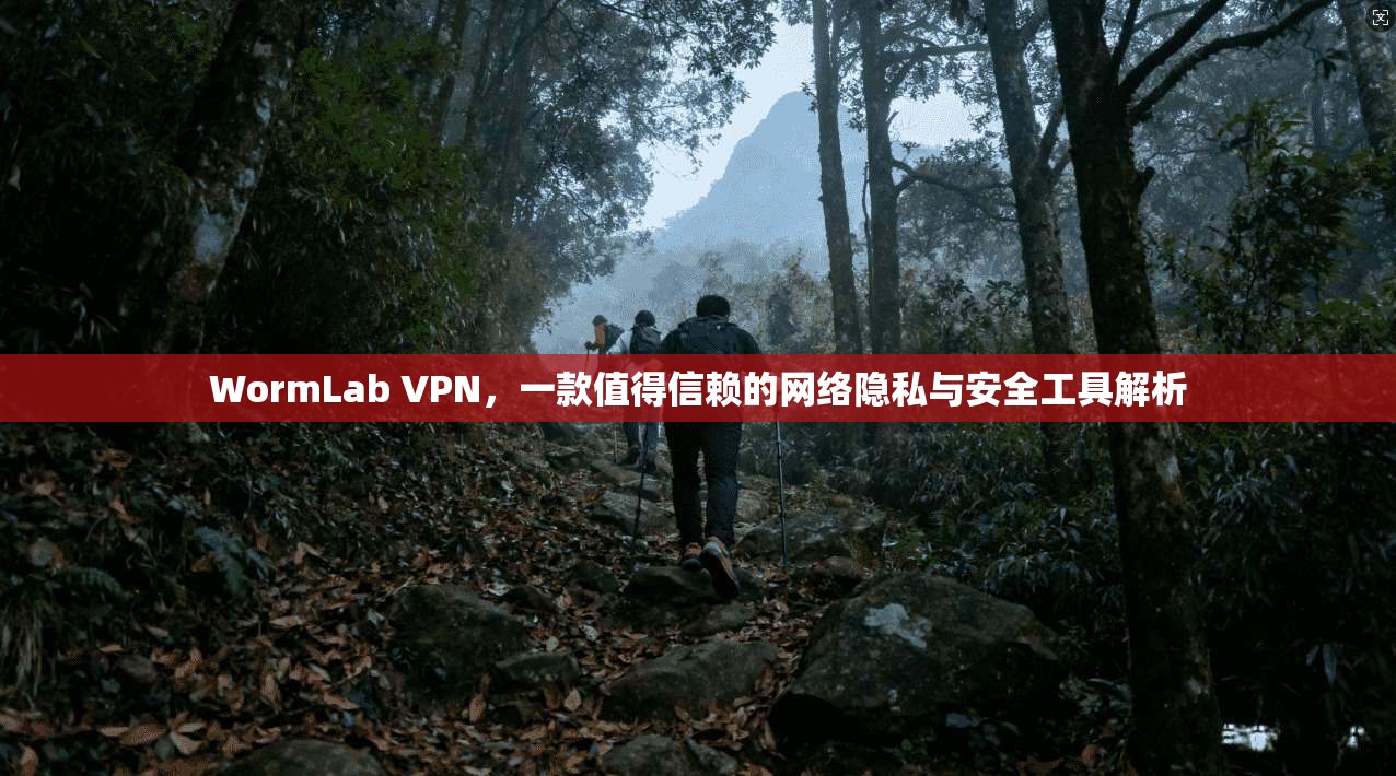 WormLab VPN，一款值得信赖的网络隐私与安全工具解析