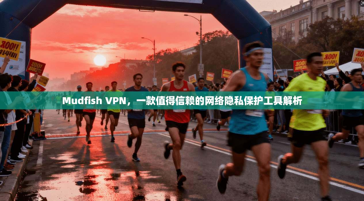 Mudfish VPN，一款值得信赖的网络隐私保护工具解析