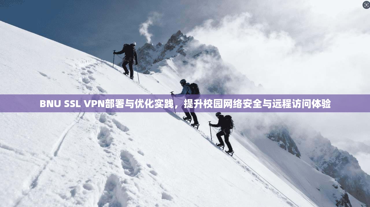 BNU SSL VPN部署与优化实践,提升校园网络安全与远程访问体验