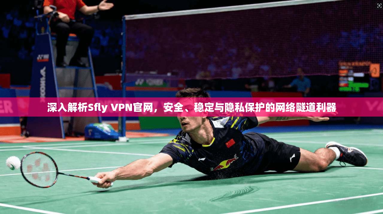 深入解析Sfly VPN官网,安全、稳定与隐私保护的网络隧道利器