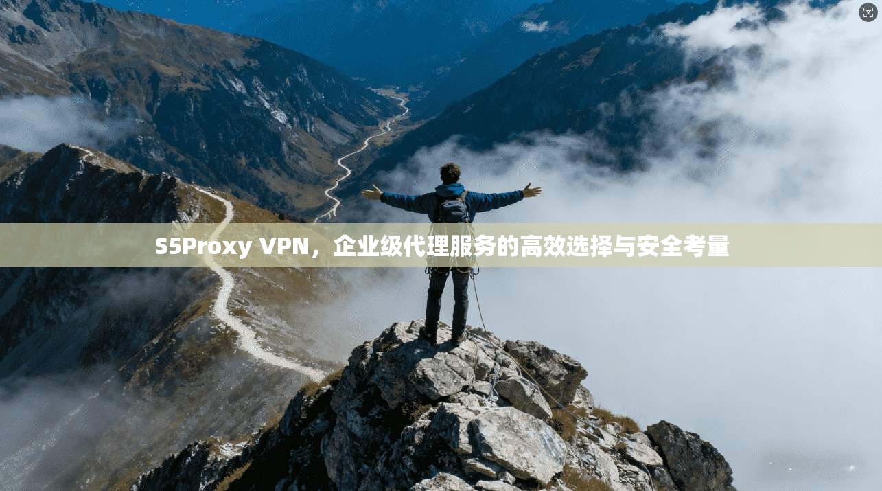 S5Proxy VPN，企业级代理服务的高效选择与安全考量